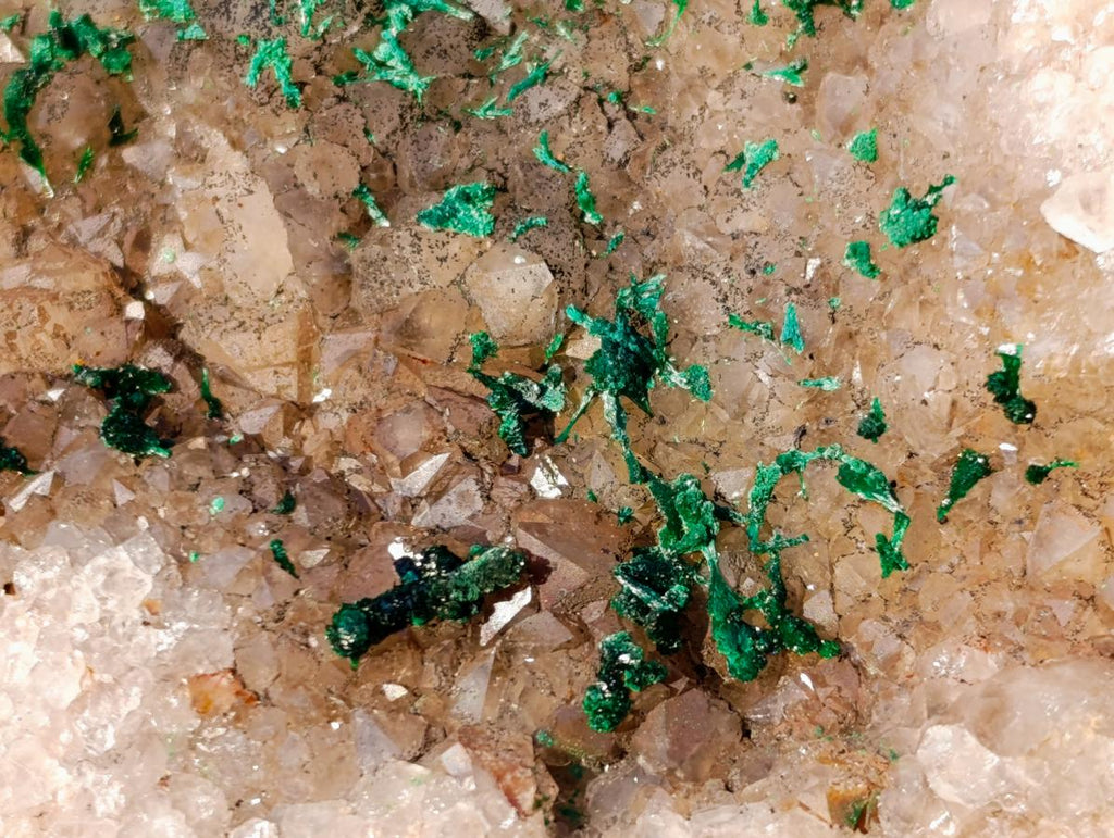 Natural Cabinet Size Silky Malachite Crystals on Smokey Quartz x 1 From Kasompe, Congo