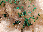 Natural Cabinet Size Silky Malachite Crystals on Smokey Quartz x 1 From Kasompe, Congo
