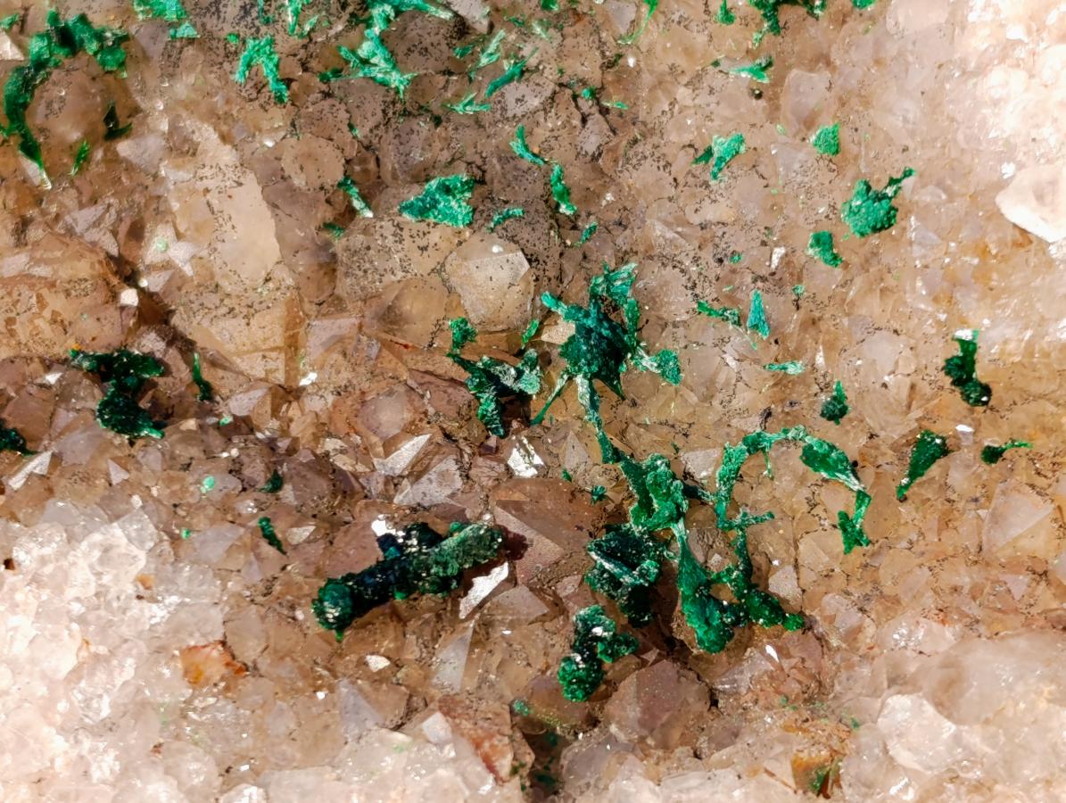 Natural Cabinet Size Silky Malachite Crystals on Smokey Quartz x 1 From Kasompe, Congo