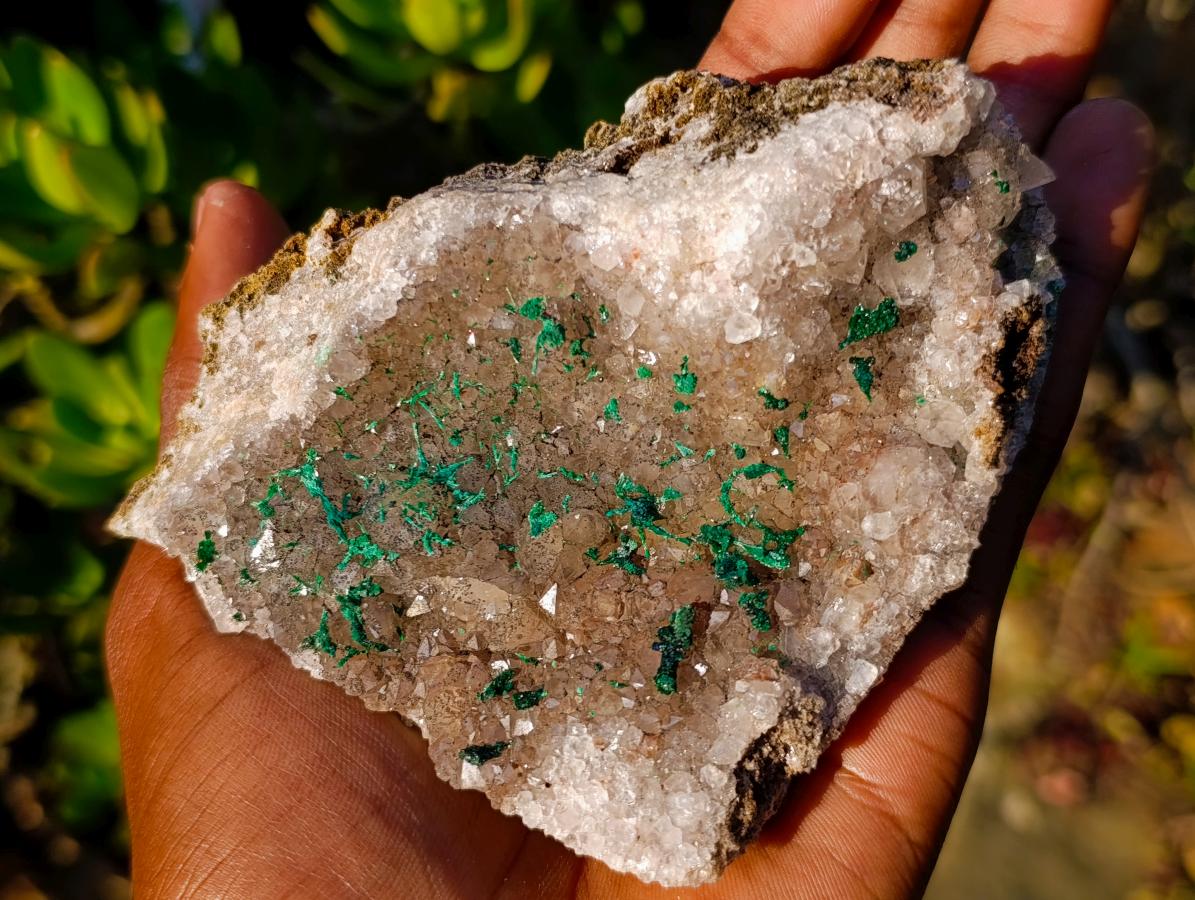 Natural Cabinet Size Silky Malachite Crystals on Smokey Quartz x 1 From Kasompe, Congo