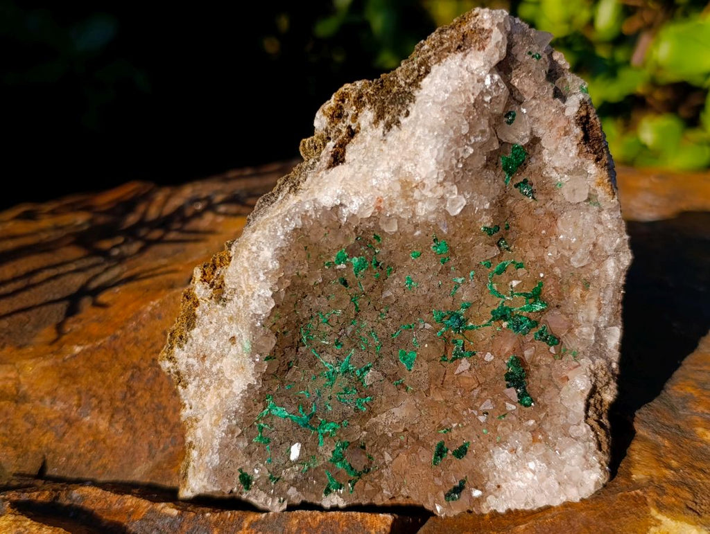 Natural Cabinet Size Silky Malachite Crystals on Smokey Quartz x 1 From Kasompe, Congo
