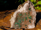 Natural Cabinet Size Silky Malachite Crystals on Smokey Quartz x 1 From Kasompe, Congo