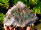 Natural Cabinet Size Silky Malachite Crystals on Smokey Quartz x 1 From Kasompe, Congo