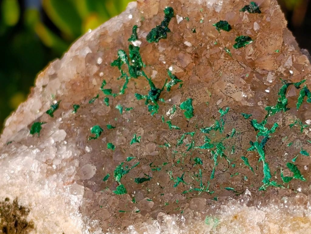 Natural Cabinet Size Silky Malachite Crystals on Smokey Quartz x 1 From Kasompe, Congo