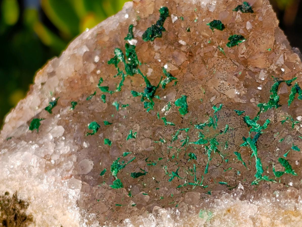 Natural Cabinet Size Silky Malachite Crystals on Smokey Quartz x 1 From Kasompe, Congo
