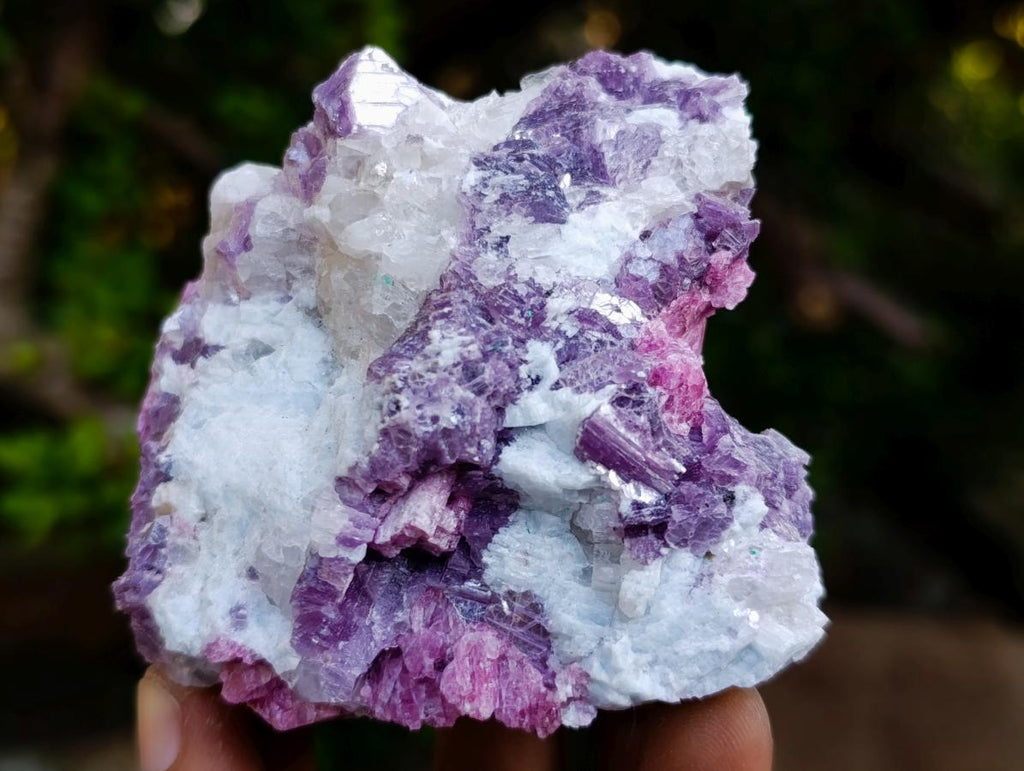 Natural Rubellite Pink Tourmaline in Quartz and Mica Schist x 1 From Karibib, Namibia