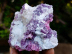 Natural Rubellite Pink Tourmaline in Quartz and Mica Schist x 1 From Karibib, Namibia