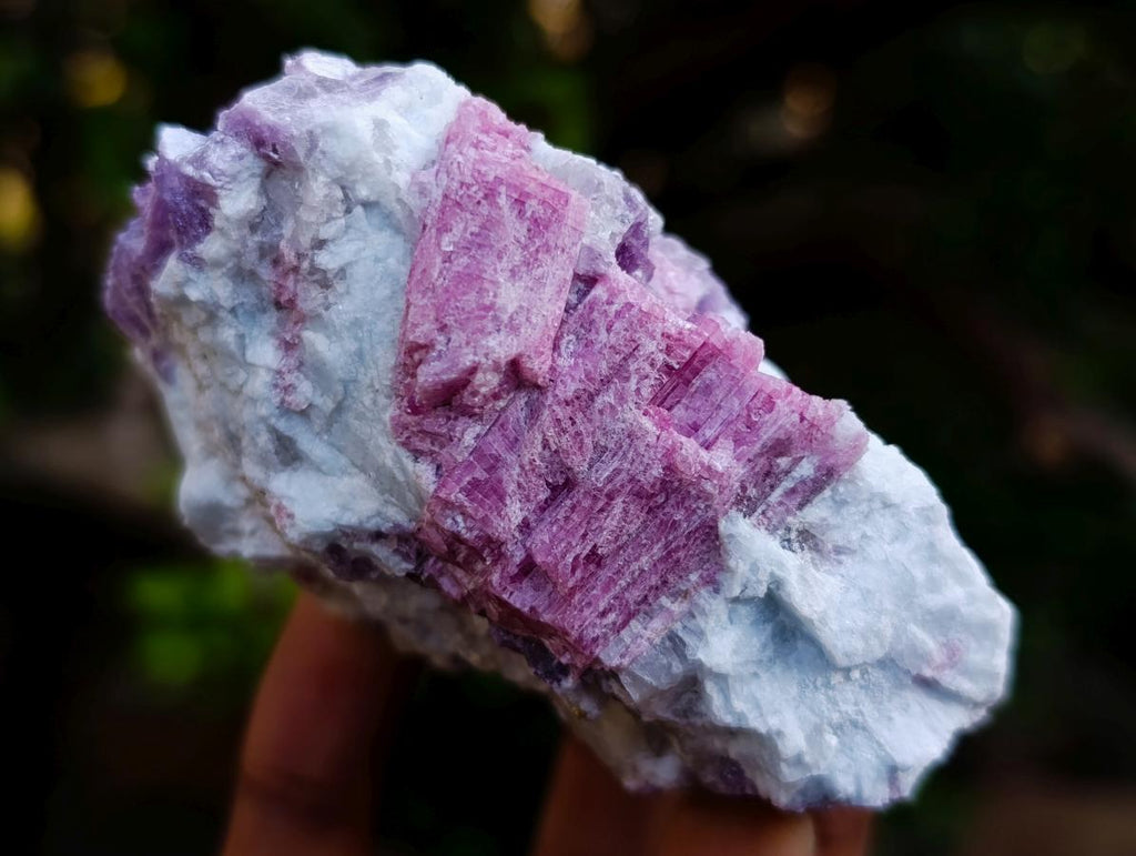 Natural Rubellite Pink Tourmaline in Quartz and Mica Schist x 1 From Karibib, Namibia