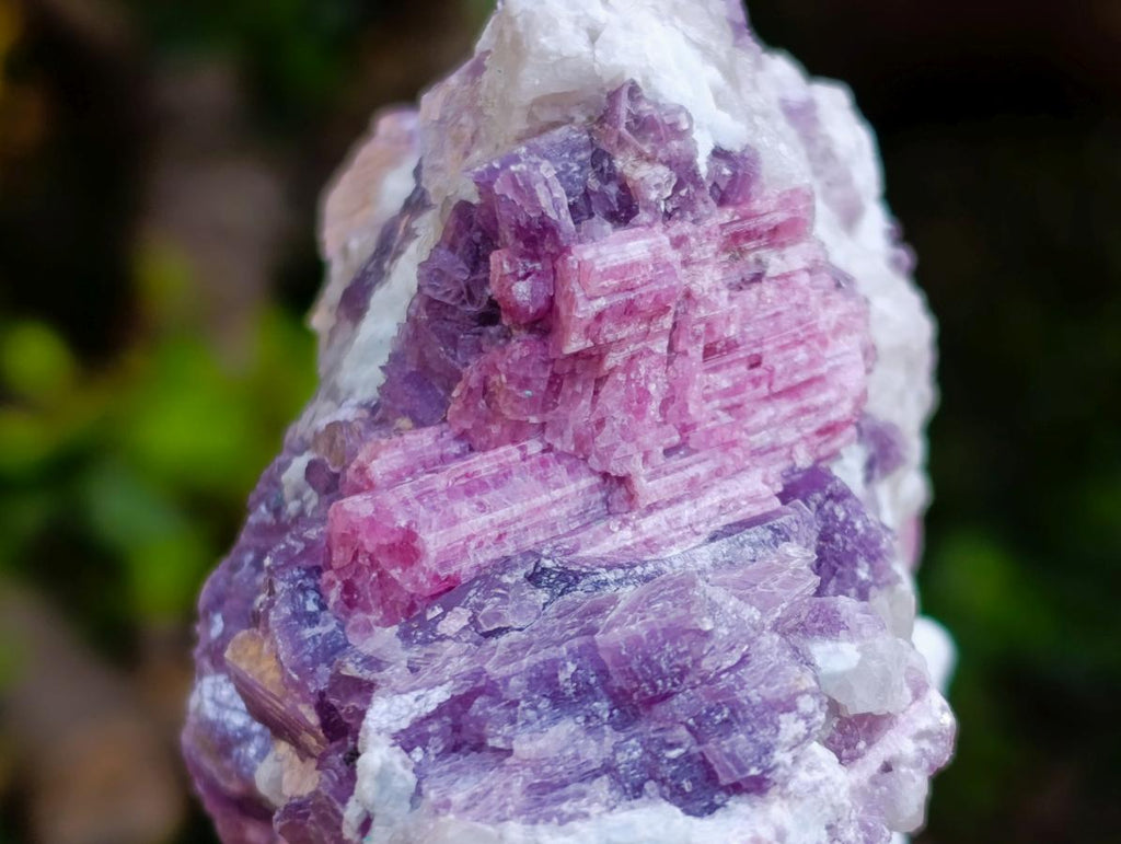 Natural Rubellite Pink Tourmaline in Quartz and Mica Schist x 1 From Karibib, Namibia