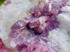 Natural Rubellite Pink Tourmaline in Quartz and Mica Schist x 1 From Karibib, Namibia