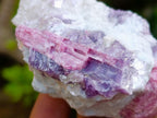 Natural Rubellite Pink Tourmaline in Quartz and Mica Schist x 1 From Karibib, Namibia