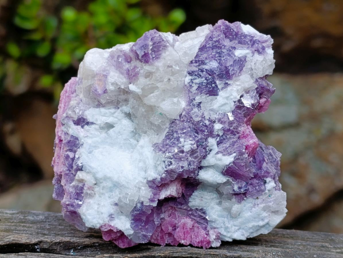 Natural Rubellite Pink Tourmaline in Quartz and Mica Schist x 1 From Karibib, Namibia