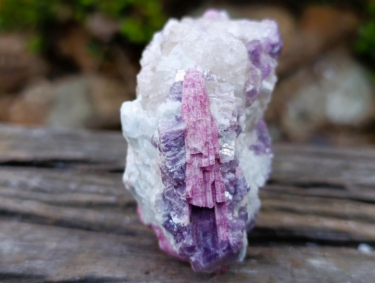 Natural Rubellite Pink Tourmaline in Quartz and Mica Schist x 1 From Karibib, Namibia