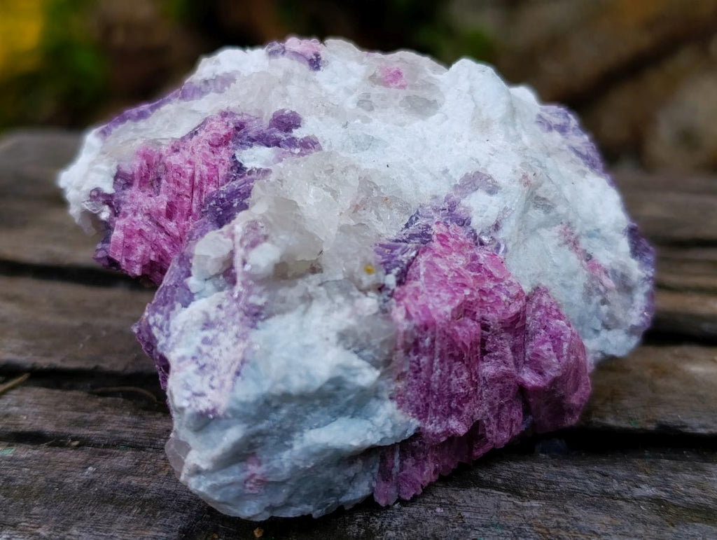 Natural Rubellite Pink Tourmaline in Quartz and Mica Schist x 1 From Karibib, Namibia