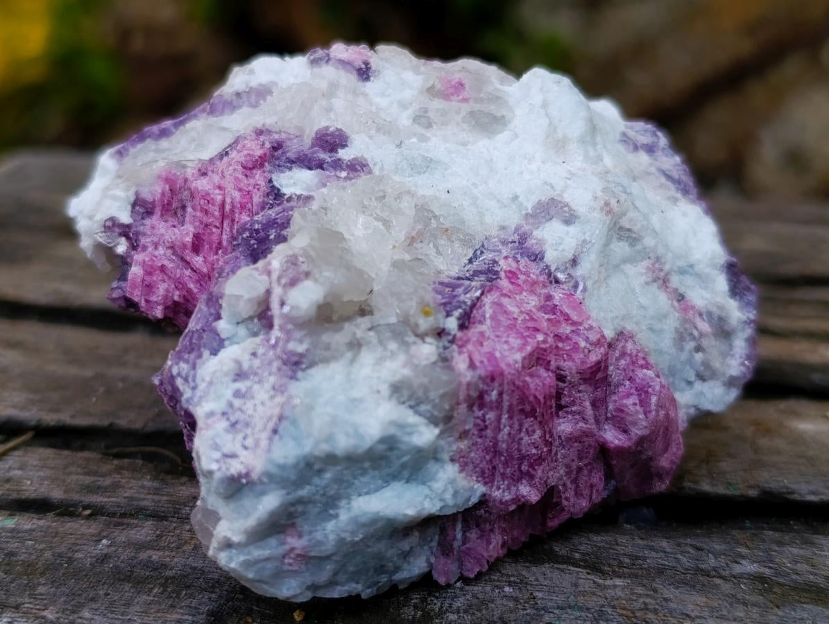 Natural Rubellite Pink Tourmaline in Quartz and Mica Schist x 1 From Karibib, Namibia