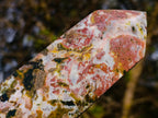 Polished Large Brecciated Ocean Jasper Display Crystal x 1 From Madagascar