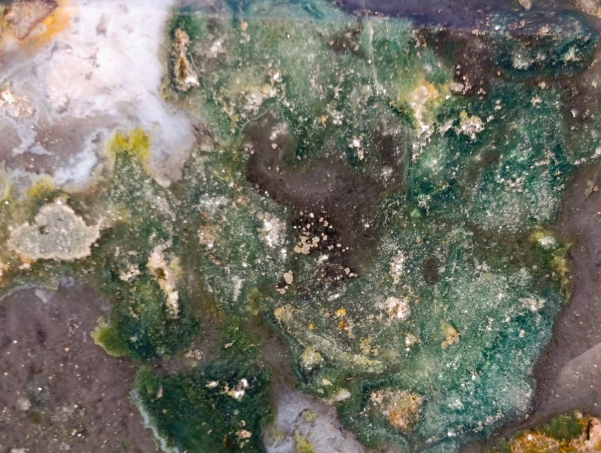 Polished Large Brecciated Ocean Jasper Display Crystal x 1 From Madagascar