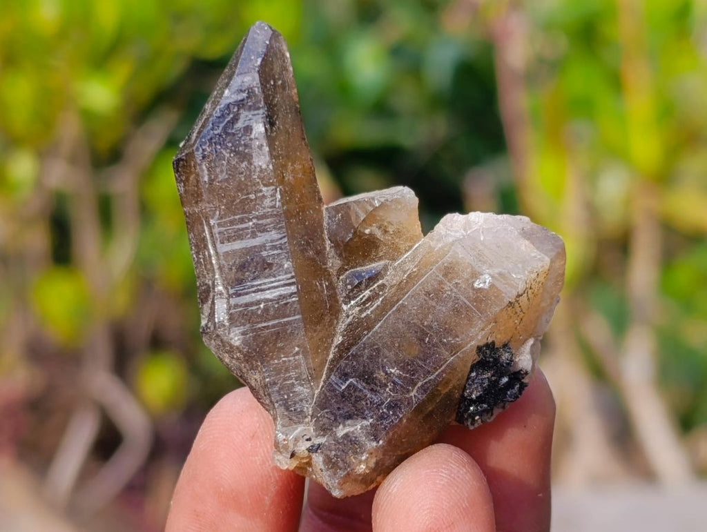 Natural Mix of African Minerals and Crystals Set of 20 x 1 From Southern Africa