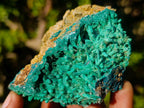 Natural Ultra Rare Malachite Barite Specimen x 1 From Shinkolobwe Mine, Congo