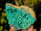 Natural Ultra Rare Malachite Barite Specimen x 1 From Shinkolobwe Mine, Congo
