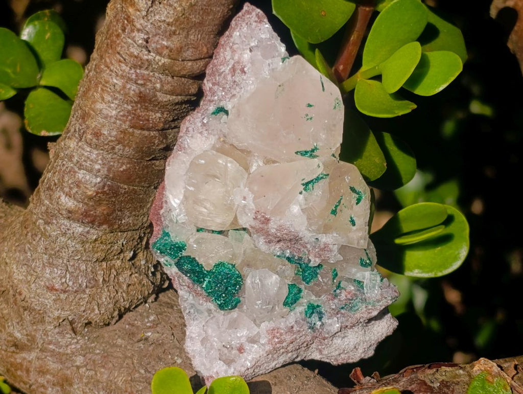 Natural Calcite Crystal Cluster with Malachite x 1 From Mashamba West Mine, Congo
