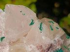 Natural Calcite Crystal Cluster with Malachite x 1 From Mashamba West Mine, Congo