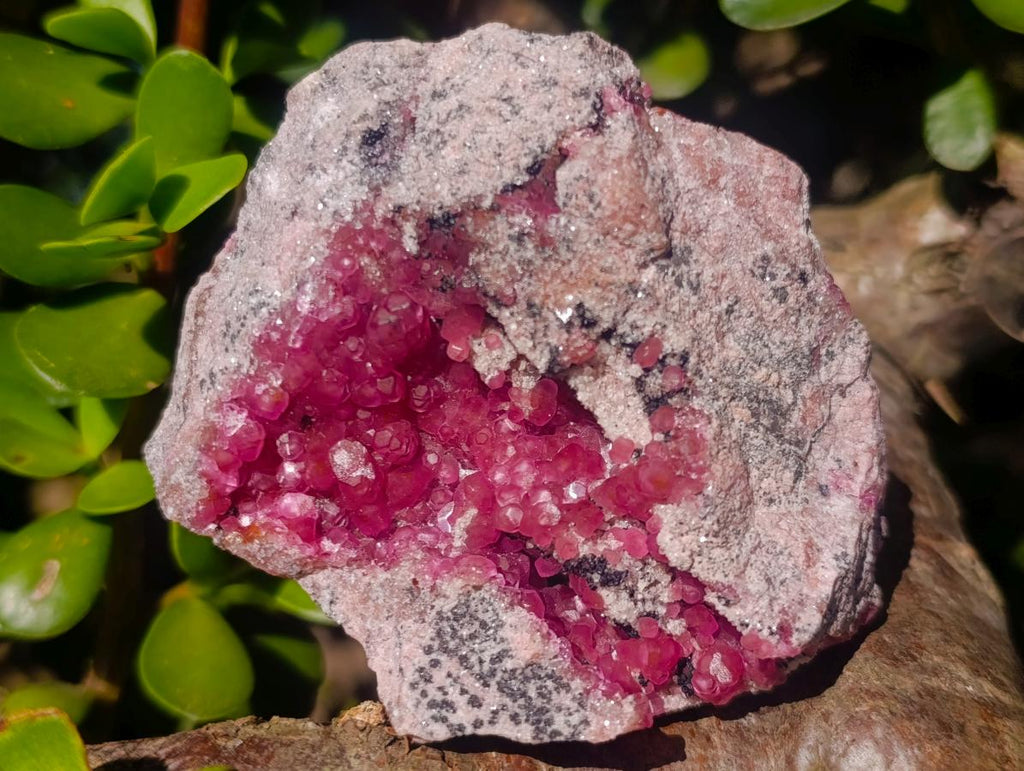 Natural Ultra Rare Gemmy Spherocobaltite Specimen x 1 From Musonoi Mine, Congo