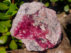 Natural Ultra Rare Gemmy Spherocobaltite Specimen x 1 From Musonoi Mine, Congo