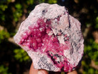 Natural Ultra Rare Gemmy Spherocobaltite Specimen x 1 From Musonoi Mine, Congo
