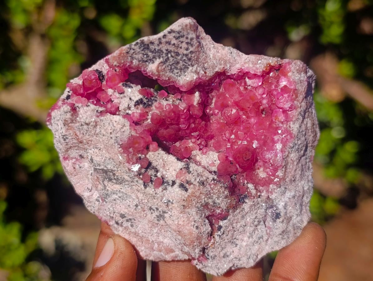 Natural Ultra Rare Gemmy Spherocobaltite Specimen x 1 From Musonoi Mine, Congo