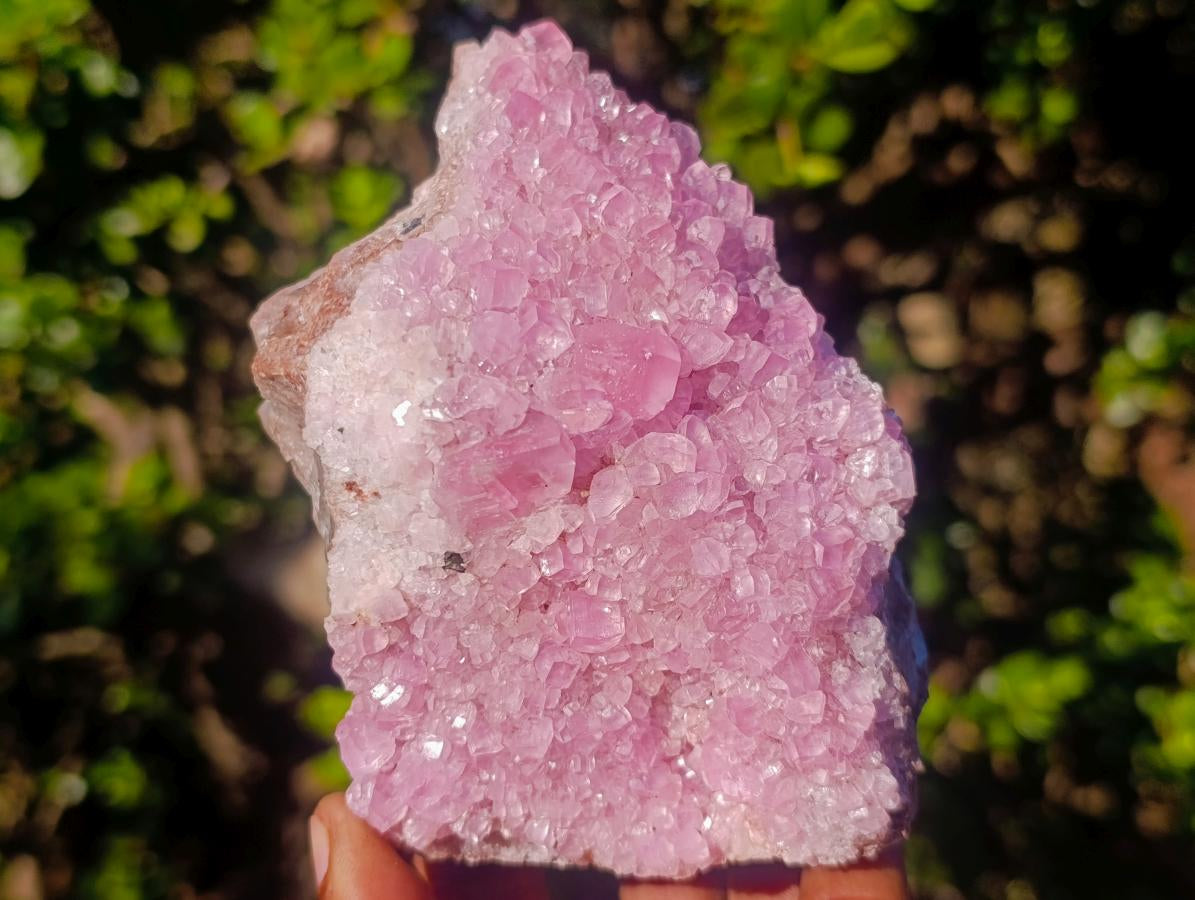 Natural Large Super Rare Cabinet Size Pink Rhodocalcite Specimen  x 1 From Mashamba West, Congo