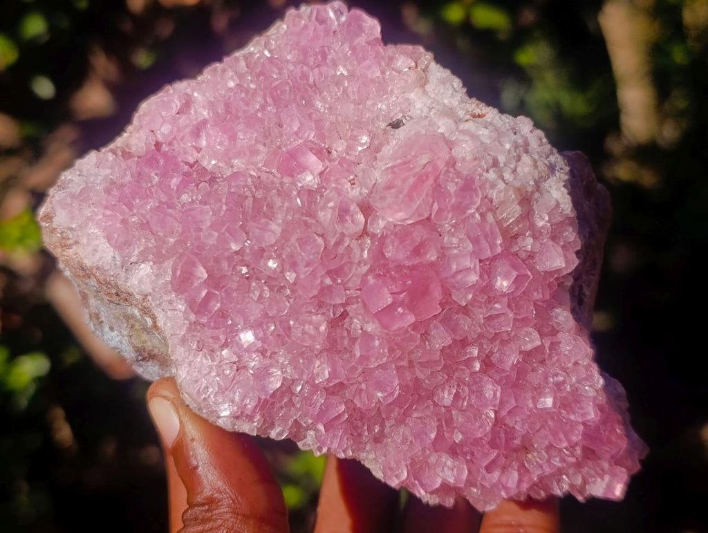 Natural Large Super Rare Cabinet Size Pink Rhodocalcite Specimen  x 1 From Mashamba West, Congo