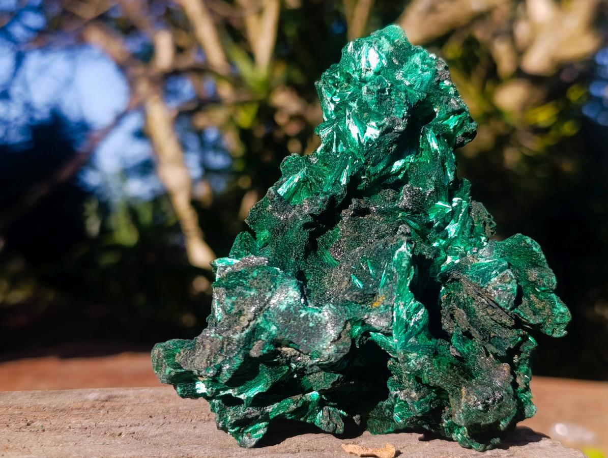 Natural AA Grade Silky Malachite Specimen x 1 From Kasompe, Congo