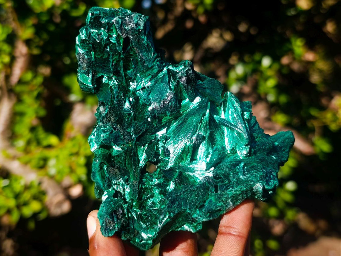 Natural AA Grade Silky Malachite Specimen x 1 From Kasompe, Congo