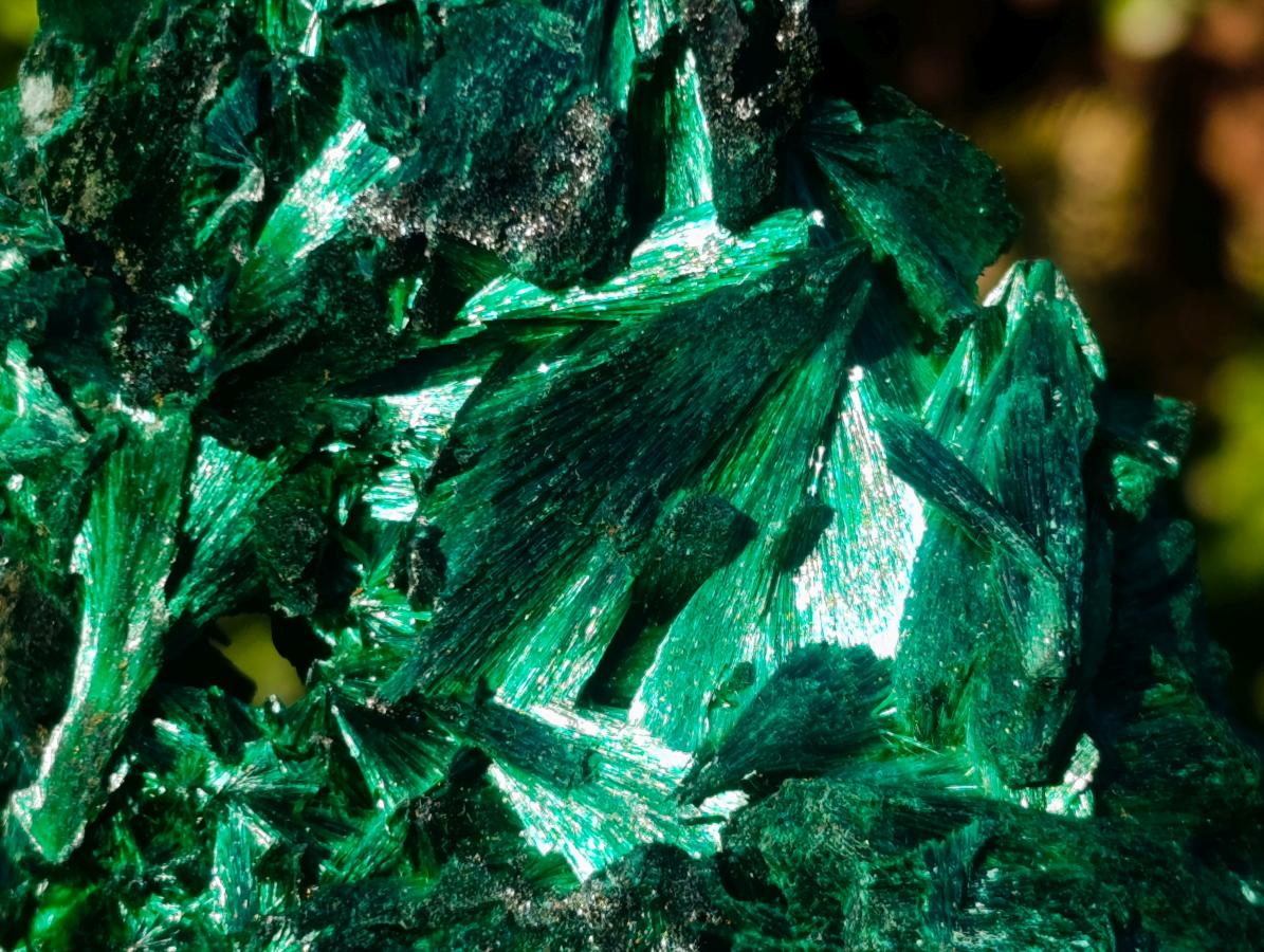 Natural AA Grade Silky Malachite Specimen x 1 From Kasompe, Congo