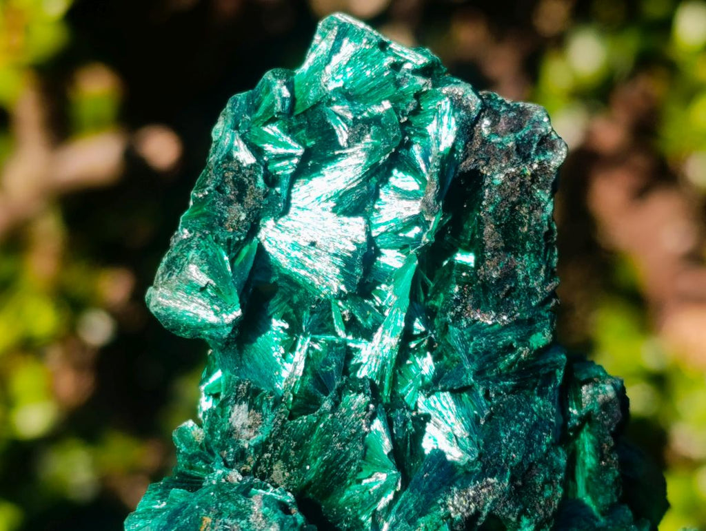 Natural AA Grade Silky Malachite Specimen x 1 From Kasompe, Congo
