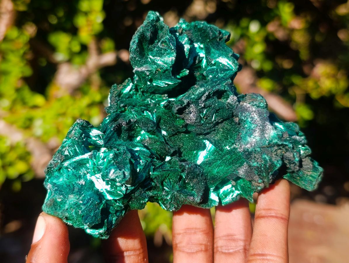 Natural AA Grade Silky Malachite Specimen x 1 From Kasompe, Congo