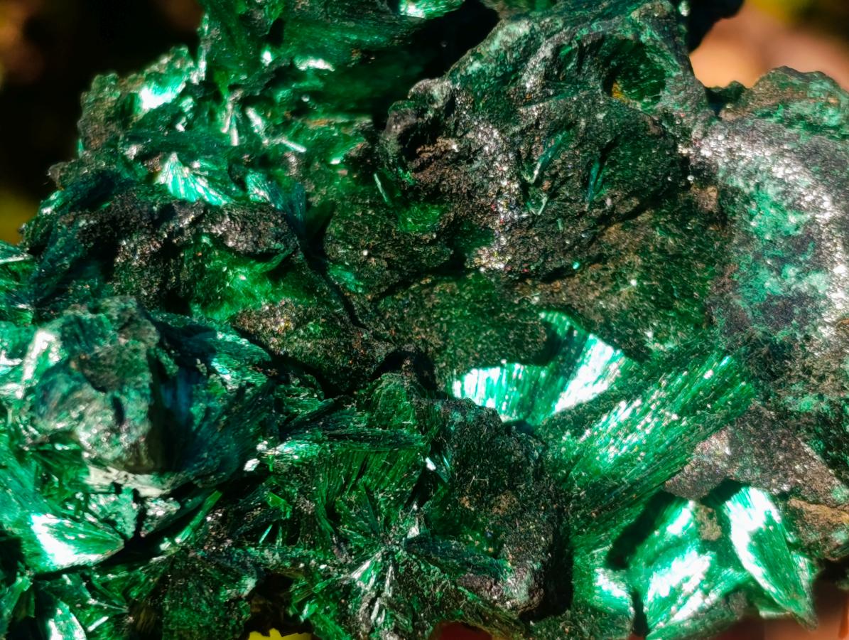 Natural AA Grade Silky Malachite Specimen x 1 From Kasompe, Congo