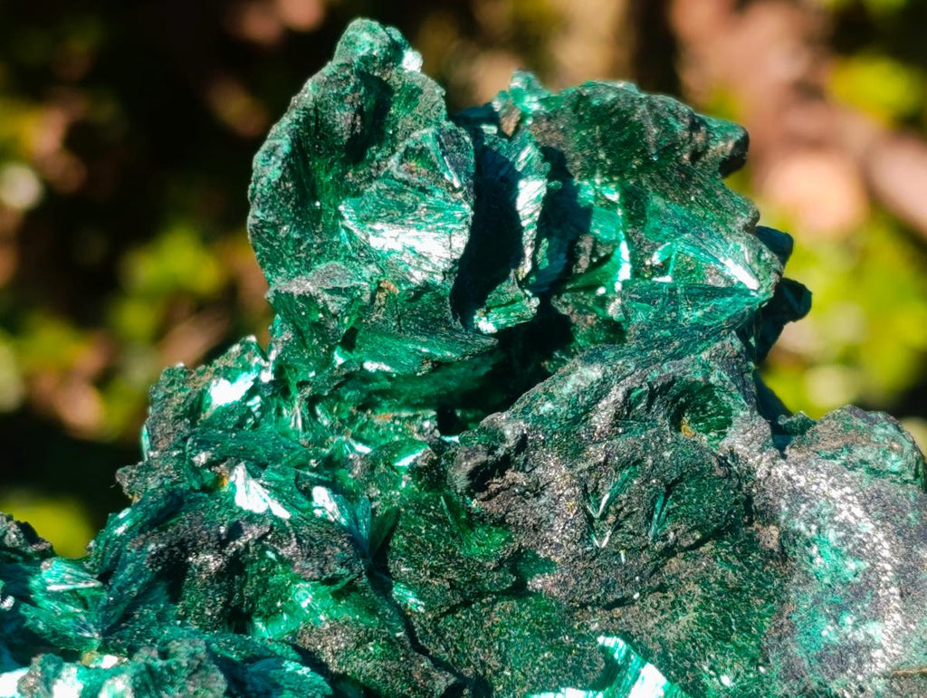 Natural AA Grade Silky Malachite Specimen x 1 From Kasompe, Congo