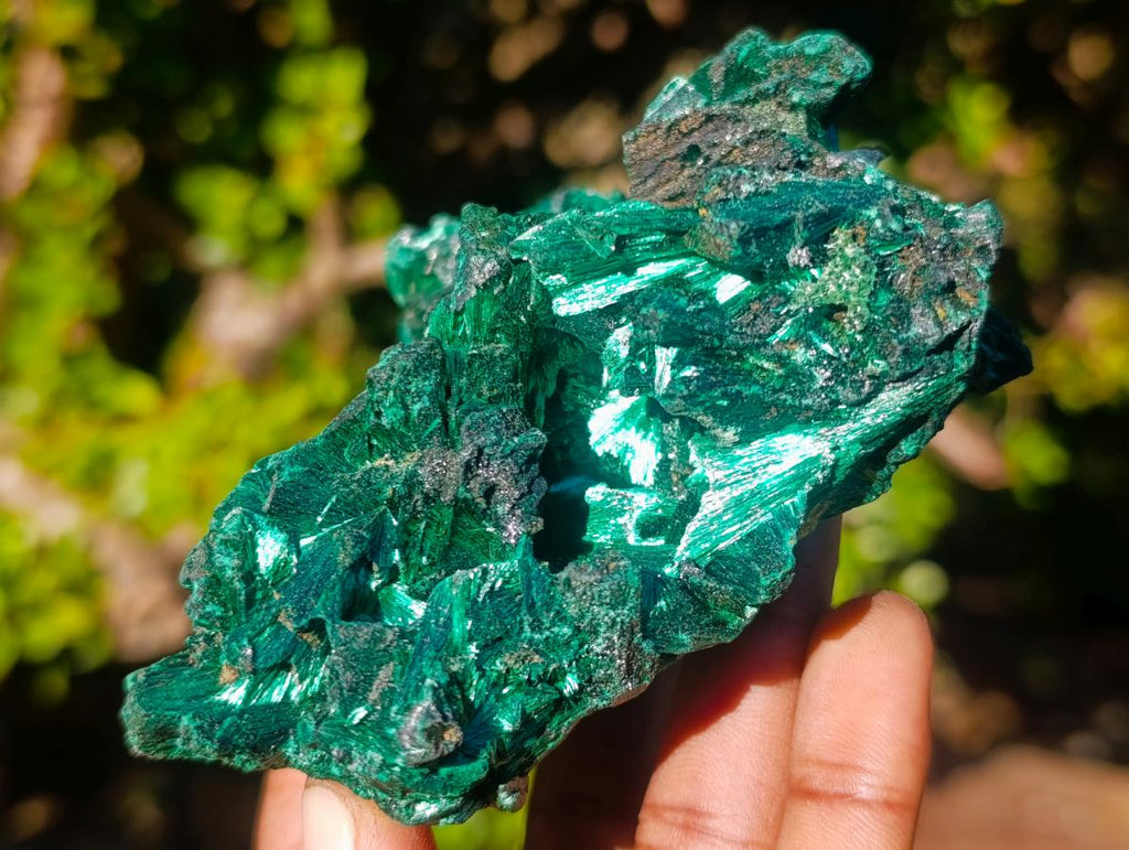 Natural AA Grade Silky Malachite Specimen x 1 From Kasompe, Congo
