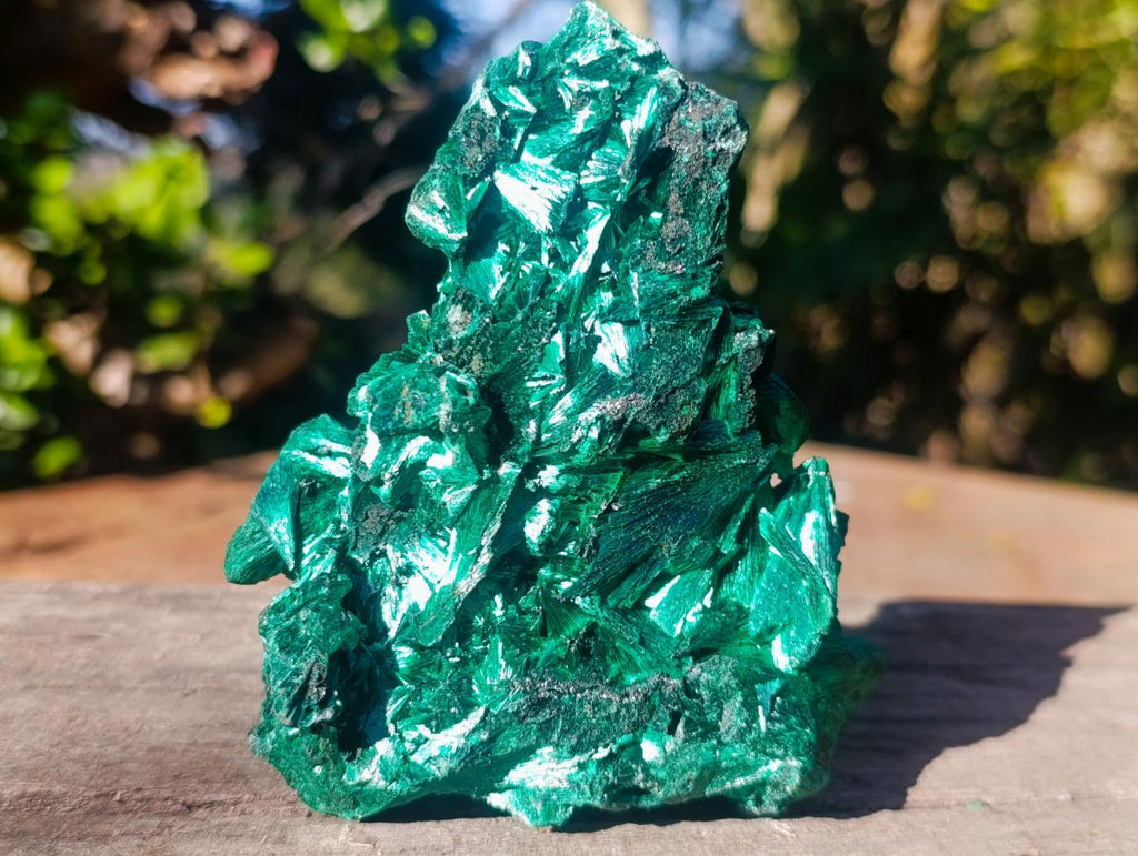 Natural AA Grade Silky Malachite Specimen x 1 From Kasompe, Congo