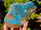 Polished One Side Shattuckite with Silica Chrysocolla and Malachite Slice x 1 From Kaokoveld, Namibia