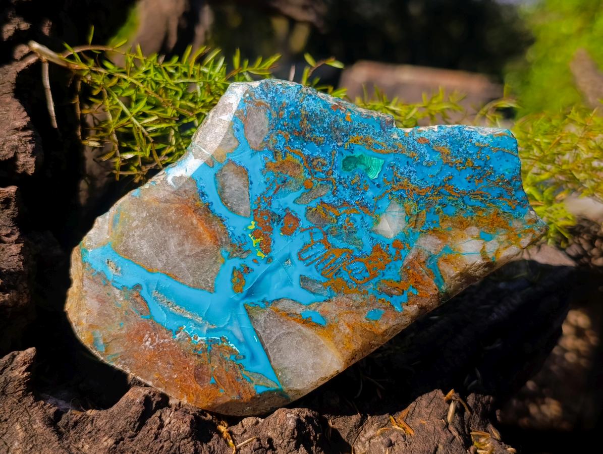 Polished One Side Shattuckite with Silica Chrysocolla and Malachite Slice x 1 From Kaokoveld, Namibia