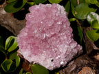Natural Super Rare Pink Rhodocalcite Specimen with Kolwezite Crystals x 1 From Mashamba West, Congo