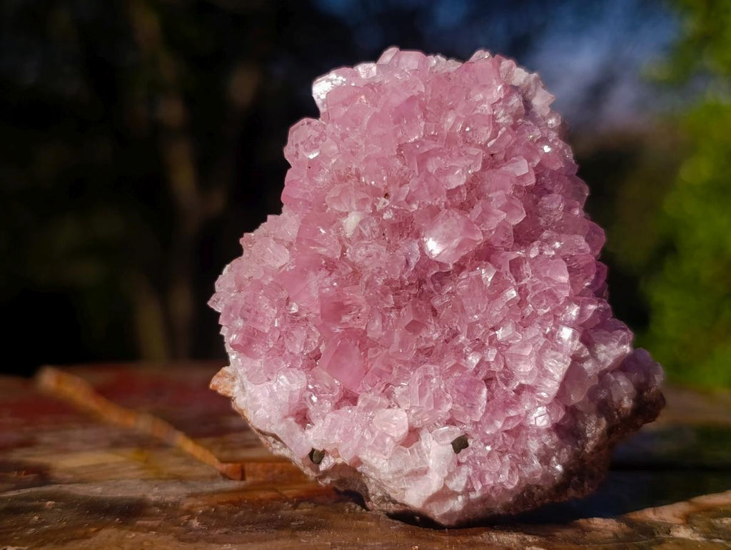 Natural Super Rare Pink Rhodocalcite Specimen with Kolwezite Crystals x 1 From Mashamba West, Congo