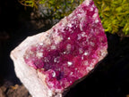 Natural Rare Cabinet Sized Gemmy Cabinet Spherocobaltite Specimen x 1 From Musonoi Mine, Congo