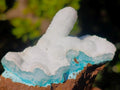 Natural Super Rare Blue Hemimorphite Stalagmite Specimen x 1 From Lupoto Mine, Congo