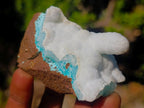 Natural Super Rare Blue Hemimorphite Stalagmite Specimen x 1 From Lupoto Mine, Congo