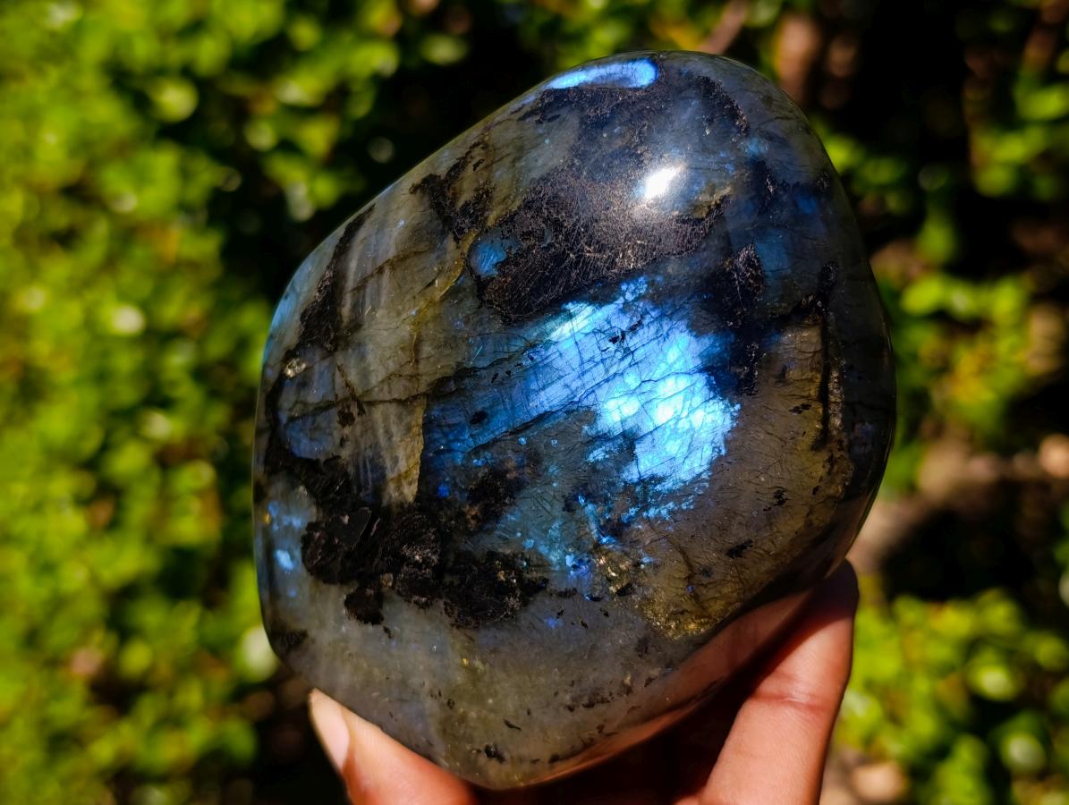 Polished Blue Flash Labradorite Standing Display Piece x 1 From Tulear, Madagascar