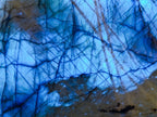 Polished Blue Flash Labradorite Standing Display Piece x 1 From Tulear, Madagascar